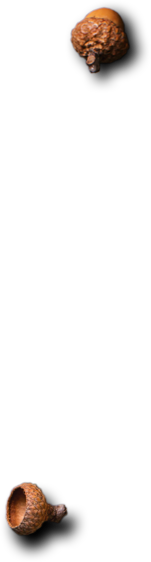 Cabe Rempah - Indonesian Foods